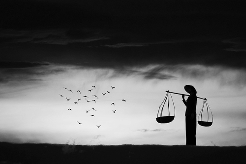 Nhiếp ảnh gia Nguyễn An Di - Landscape Ve dau canh chim troi 